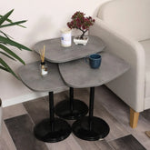 SilvaVera Zigon Sehpa Mdf Tabla Retro Gümüş Alt Mekanizma Demir Siyah Renk