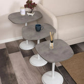 SilvaVera Zigon Sehpa Mdf Tabla Retro Gümüş Alt Mekanizma Demir Beyaz Renk